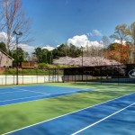 IMG_0484_5_6
